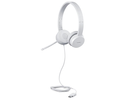 Lenovo | USB Headset | 110 Stereo | Yes | USB Type-A