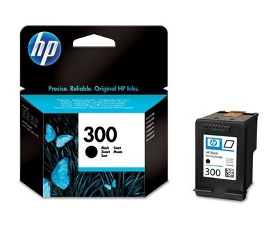 Ink Cartridge HP No.300 (CC640EE) BK 200p. OEM