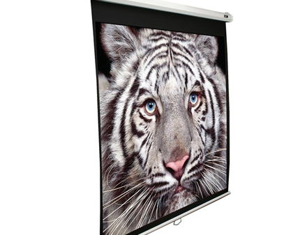 Elite Screens | Manual Series | M99NWS1 | Diagonal 99 " | 1:1 | Viewable screen width (W) 178 cm | White