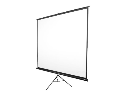 Elite Screens | Tripod Series | T99NWS1 | Diagonal 99 " | 1:1 | Viewable screen width (W) 178 cm | White